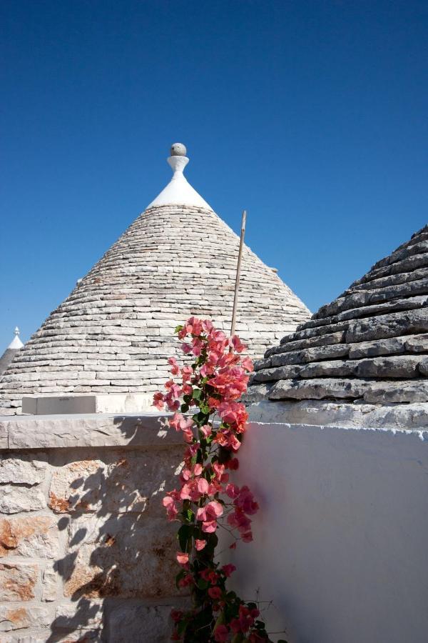 הוילה אלברובלו Trullo Aprico מראה חיצוני תמונה