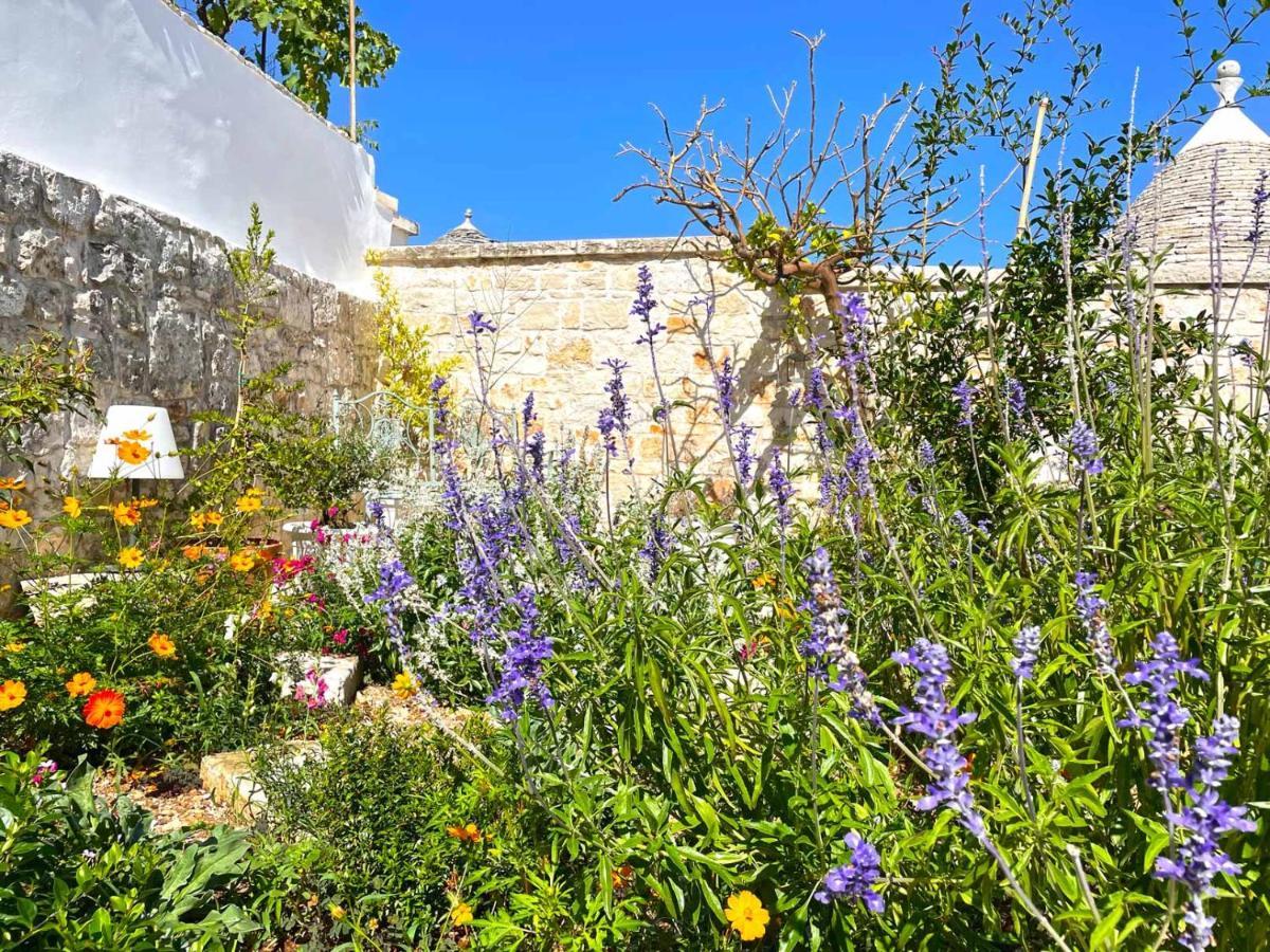 הוילה אלברובלו Trullo Aprico מראה חיצוני תמונה