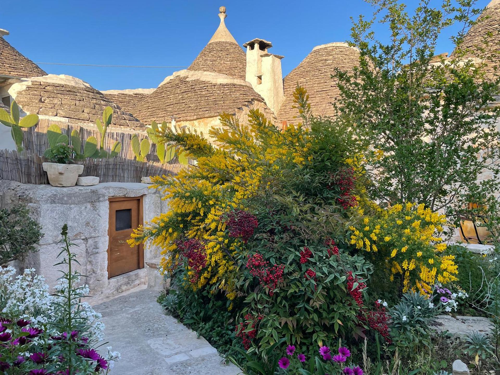 הוילה אלברובלו Trullo Aprico מראה חיצוני תמונה
